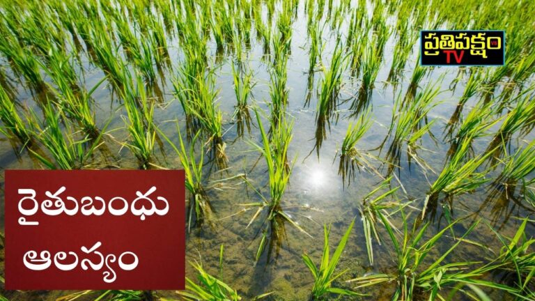 తెలంగాణలో యాసంగి సాగు పరిస్థితి – పెరిగిన నాటు ఖర్చులు, రైతుబంధు ఆలస్యం | Telangana Yasangi crop season farmers struggle due to rising costs and delayed RythuBandhu payments